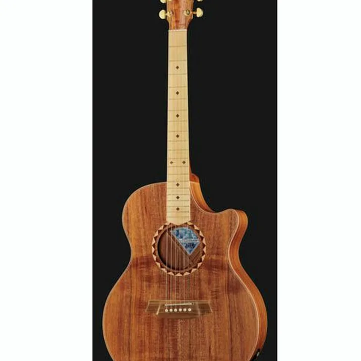Cole Clark AN2EC-BLBL-SB Satin Box Fretb.