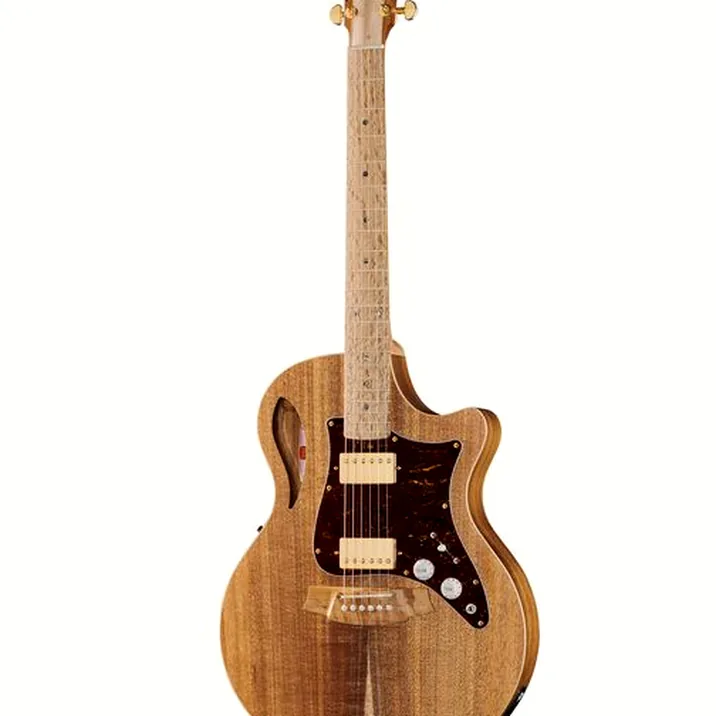 Cole Clark TL2EC-BLBL-HH Thin Line