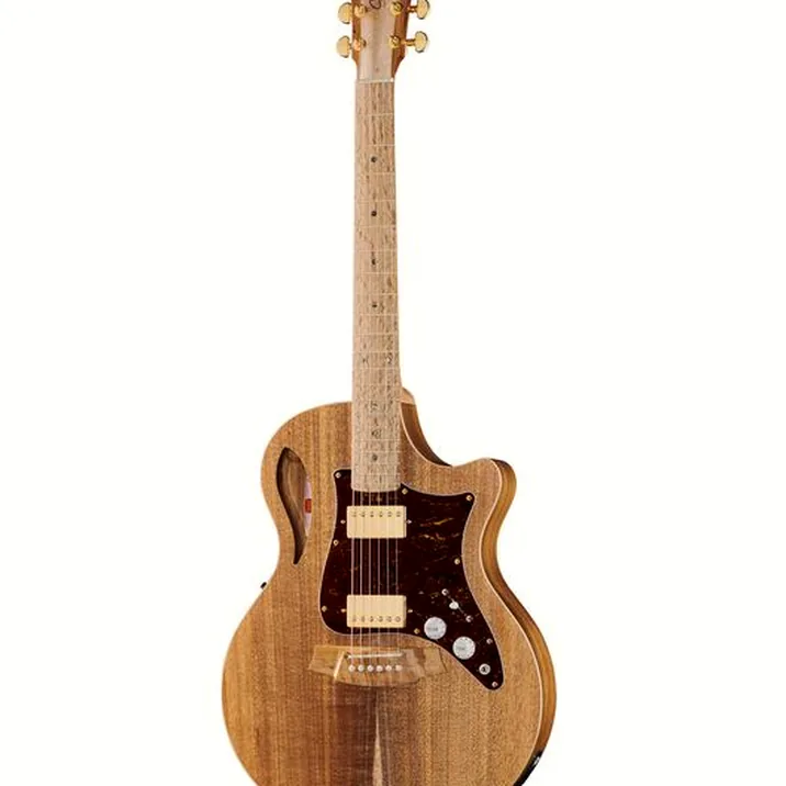 Cole Clark TL2EC-BLBL-HH Thin Line