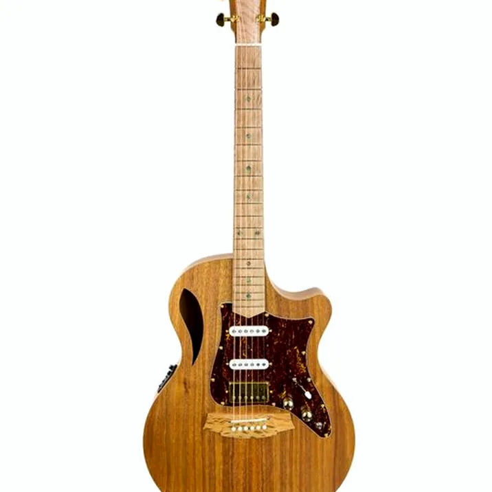 Cole Clark TL2EC-BLBL-HSS Thin Line