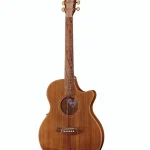 Cole Clark TL2EC-BLBL Thin line : ¿Vale lo que cuesta? Análisis y Precio