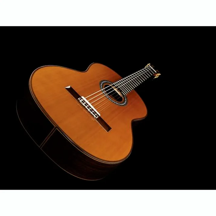 Cordoba C10 Cedar