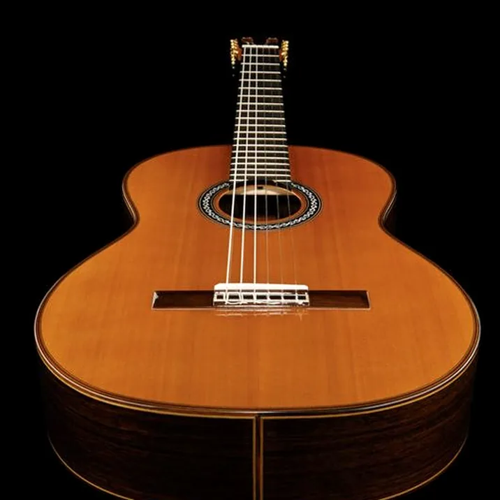 Cordoba C10 Cedar