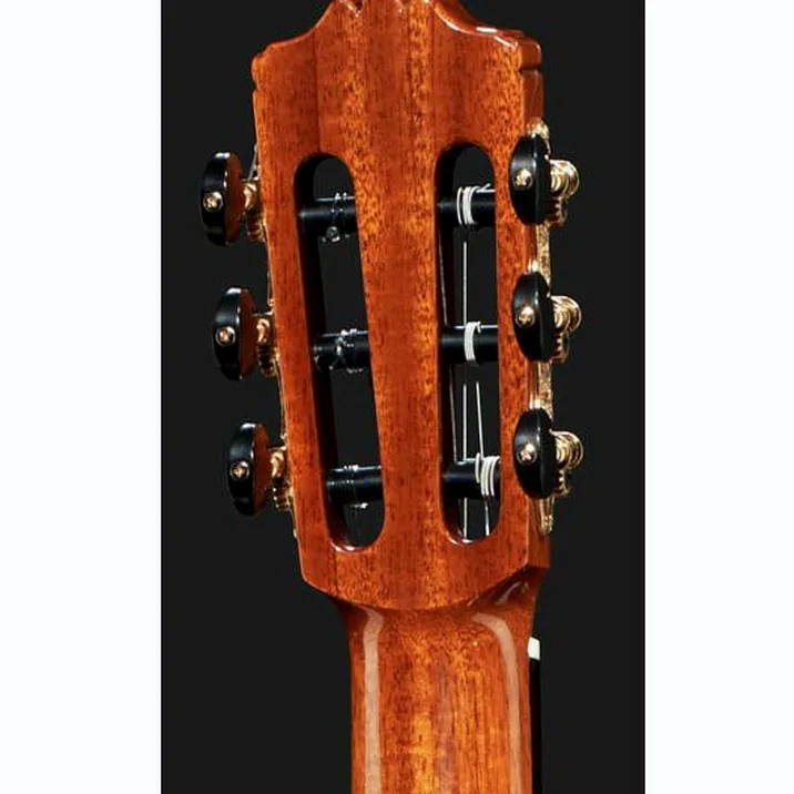 Cordoba C10 Spruce