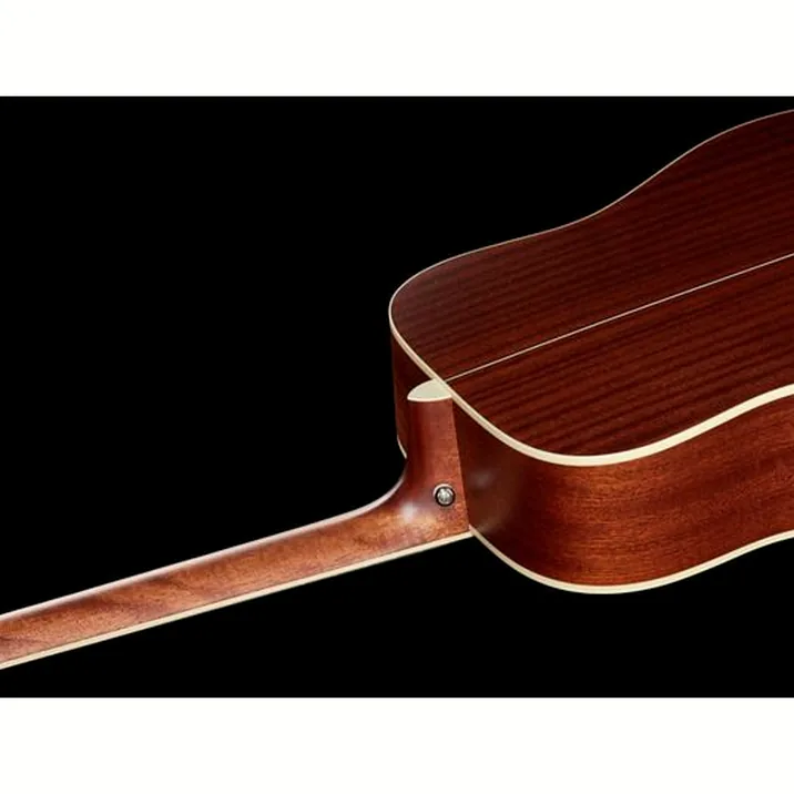Cort Earth 100 Ns