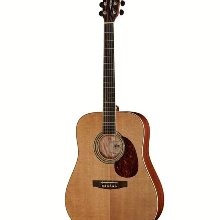 Cort Earth 100 NS