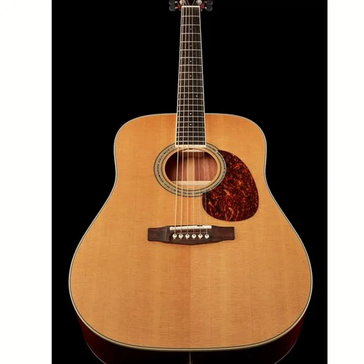 Cort Earth 100 Ns