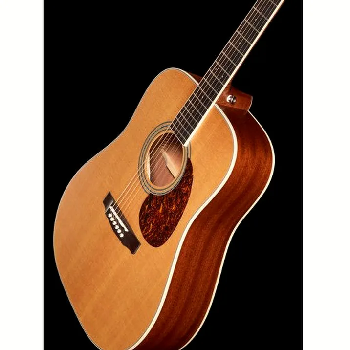 Cort Earth 100 Ns W Bag