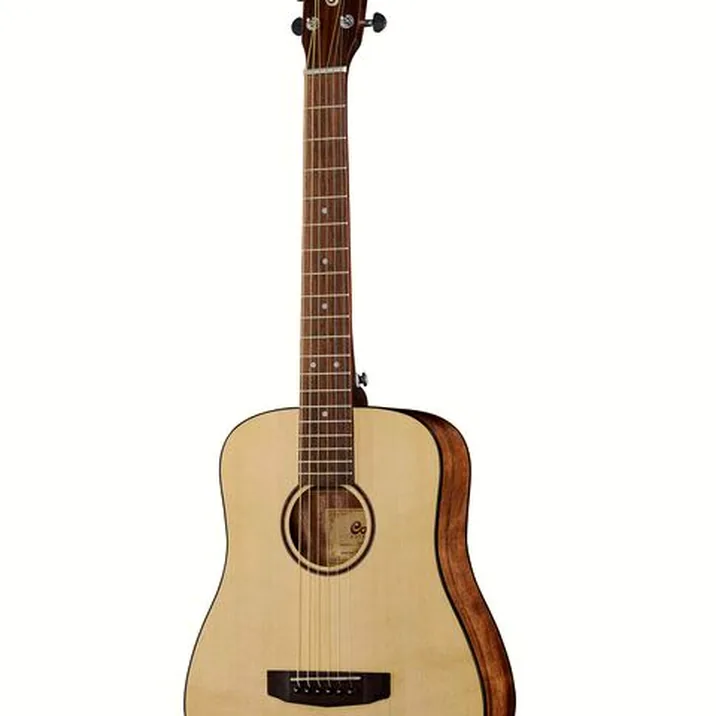 Cort Earth Mini