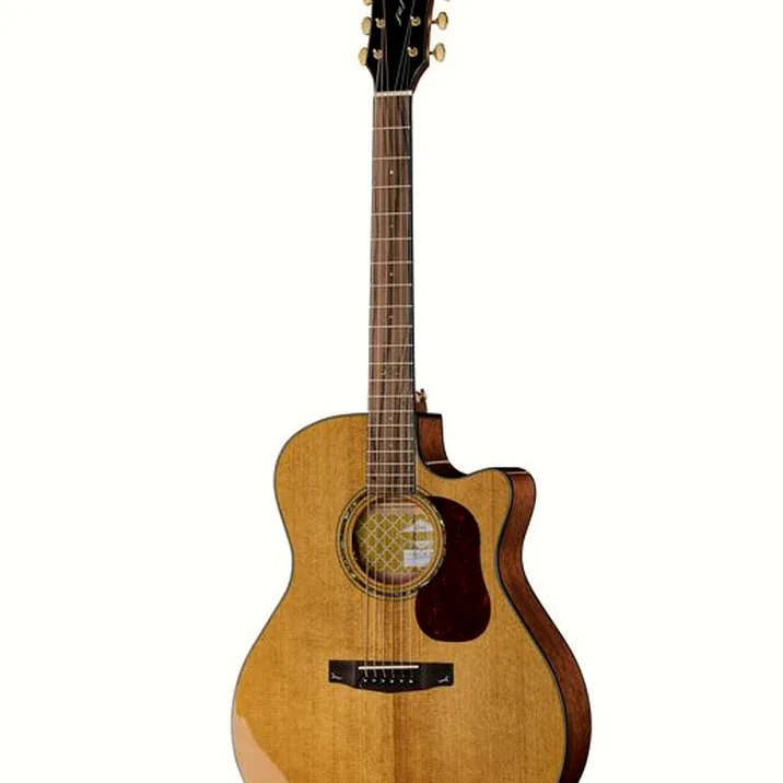 Cort Gold A6