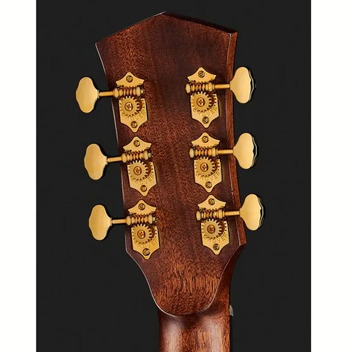 Cort Gold Oc6 Bocote