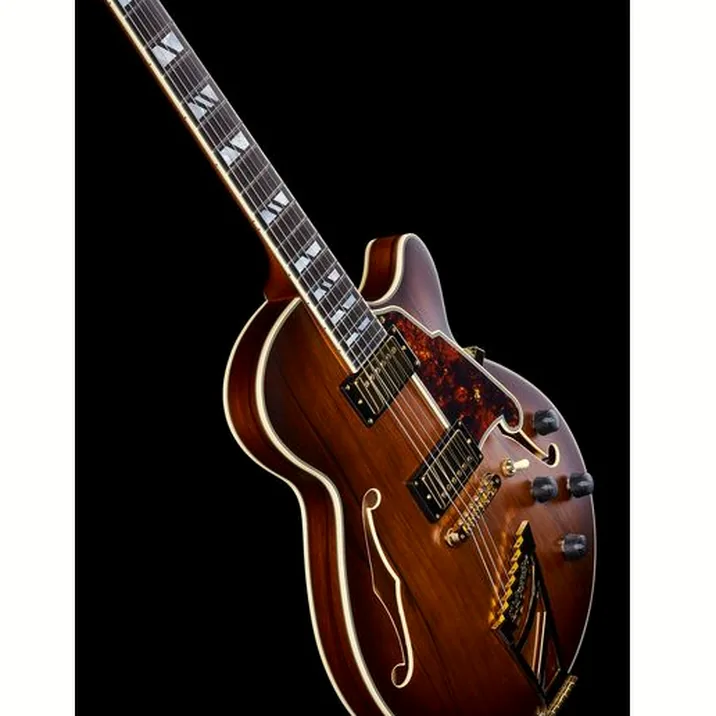 Dangelico Deluxe Ss Satin Brown Burst
