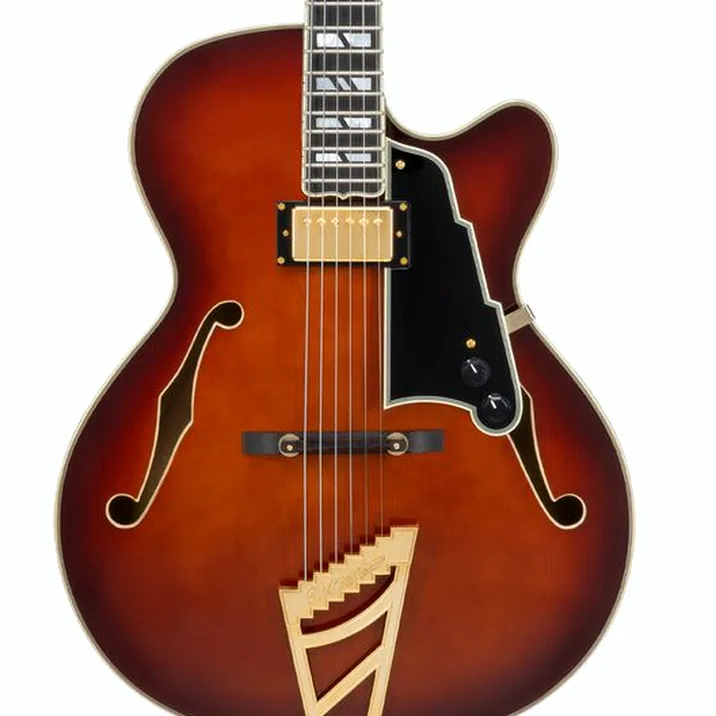DAngelico Excel 16 Amaretto Burst