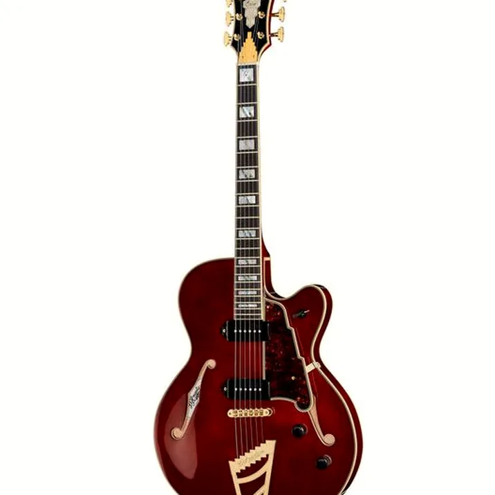 DAngelico Excel 59 Viola