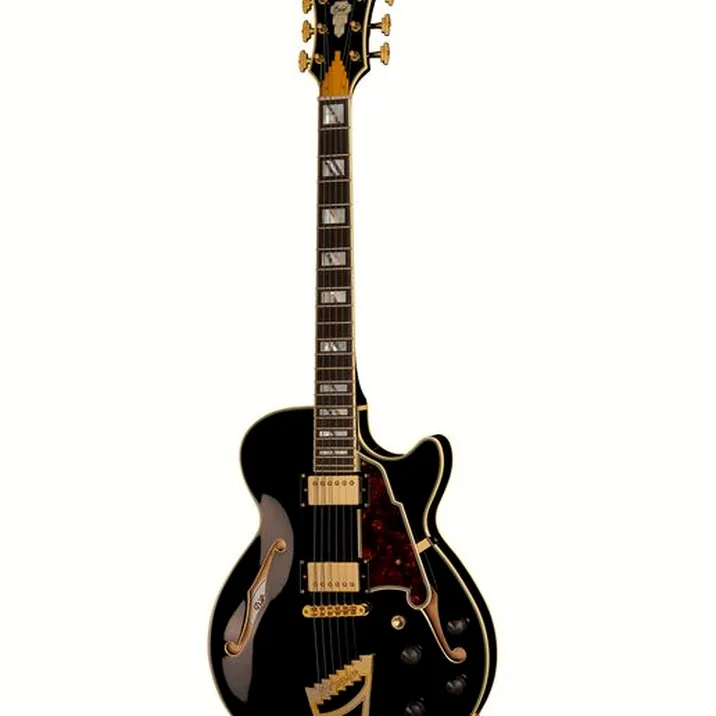 DAngelico Excel SS Solid Black