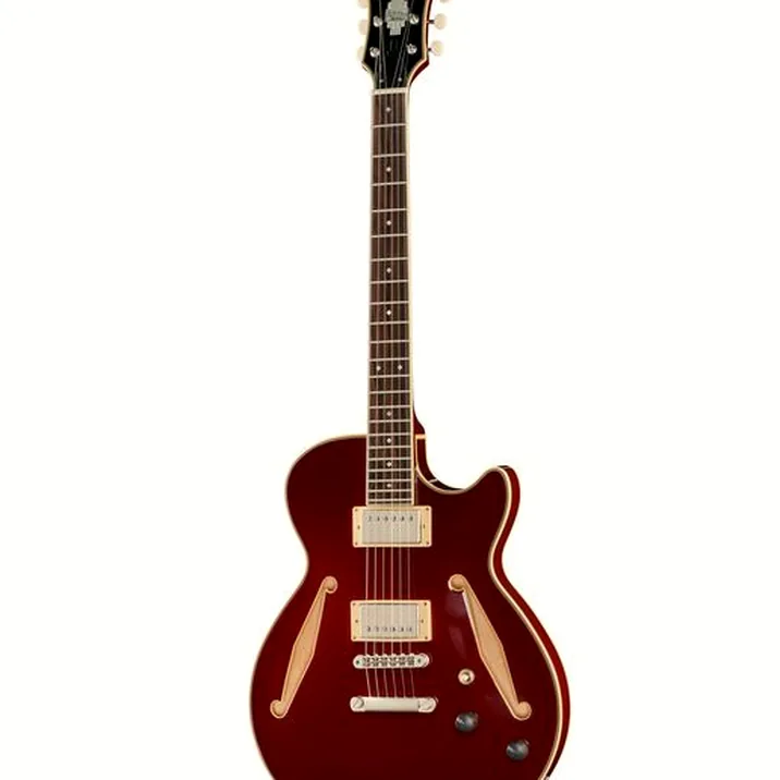DAngelico Excel SS Tour Collection SW