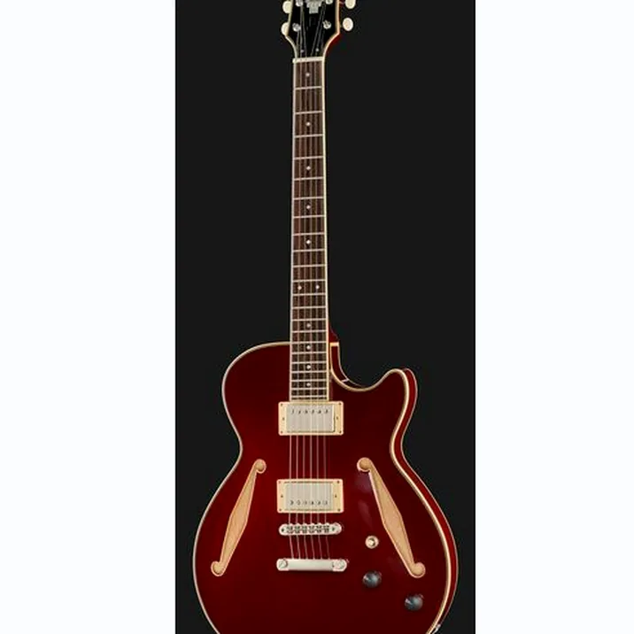 DAngelico Excel SS Tour Collection SW
