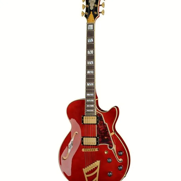 DAngelico Excel SS Viola