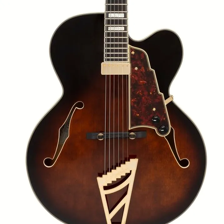 DAngelico Premier EXL1 Brown Burst