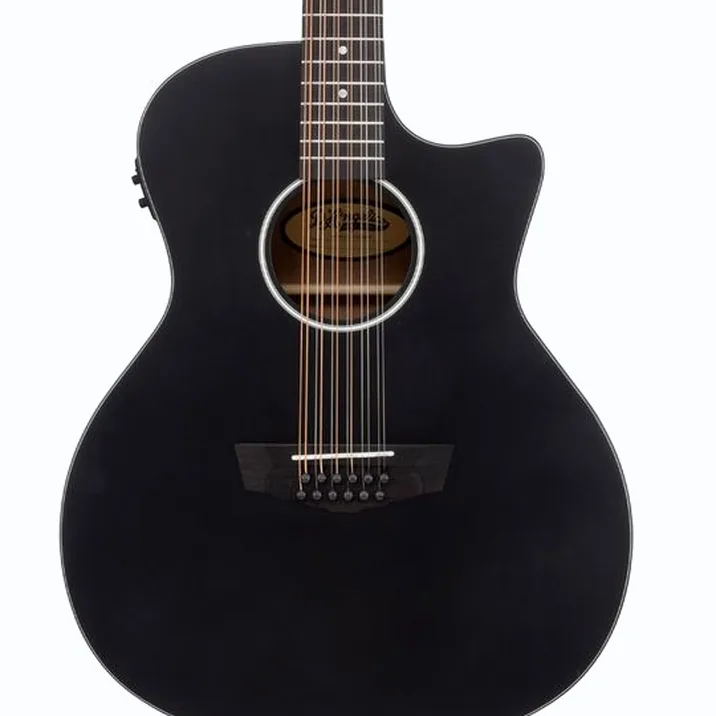 DAngelico Premier Fulton LS Matte Black