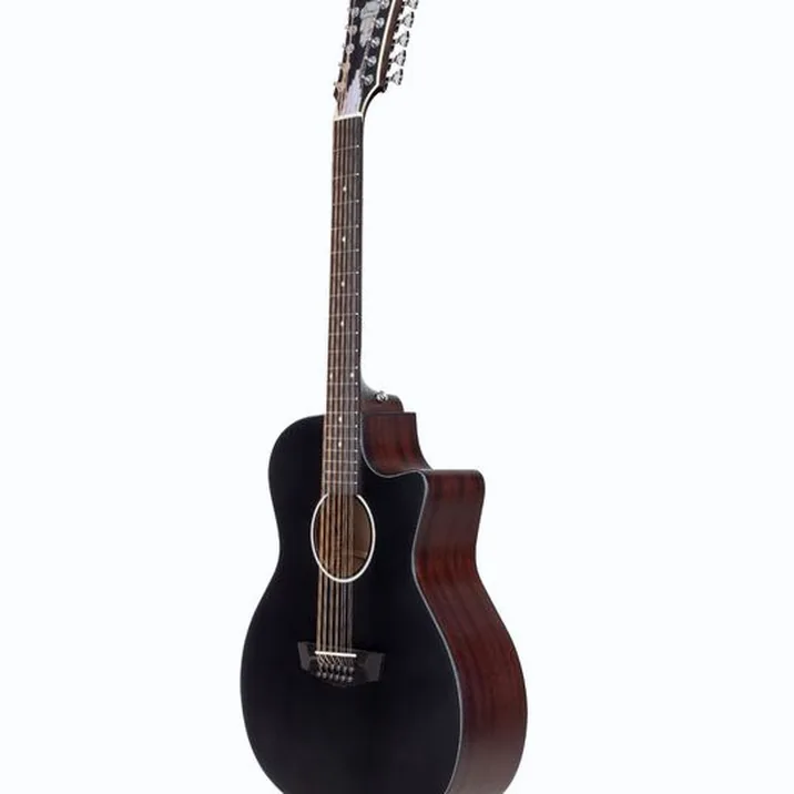 DAngelico Premier Fulton LS Matte Black