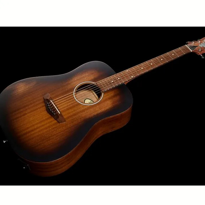 DAngelico Premier Lexington LS Aged Mah