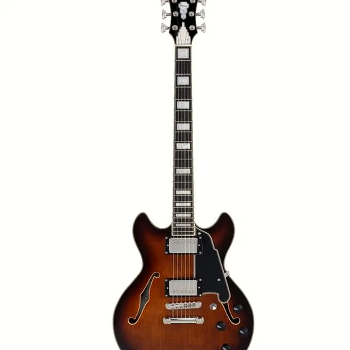 DAngelico Premier Mini DC Brown Burst