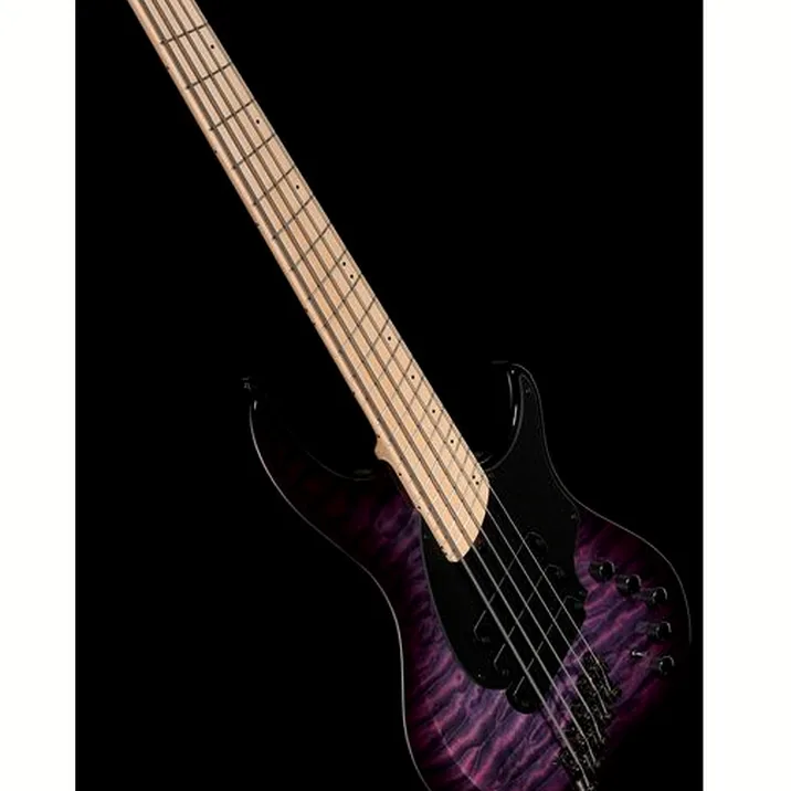 Dingwall Cb3 Combustion 5 Ultra Violet