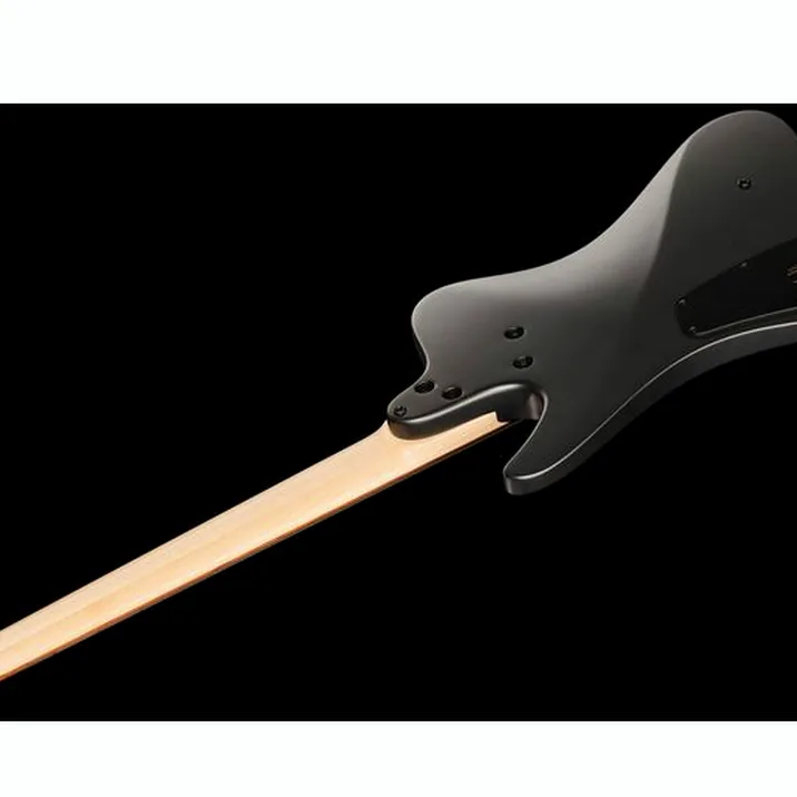 Dingwall D Roc Standard 5 Black Matte