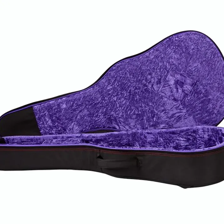 Epiphone Hummingbird Deluxe EC NA IBC