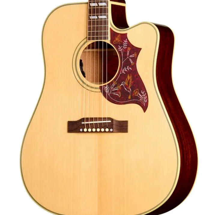 Epiphone Hummingbird Standard EC N