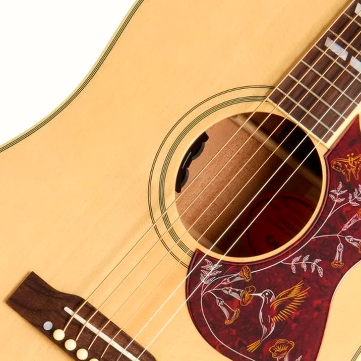 Epiphone Hummingbird Standard EC N