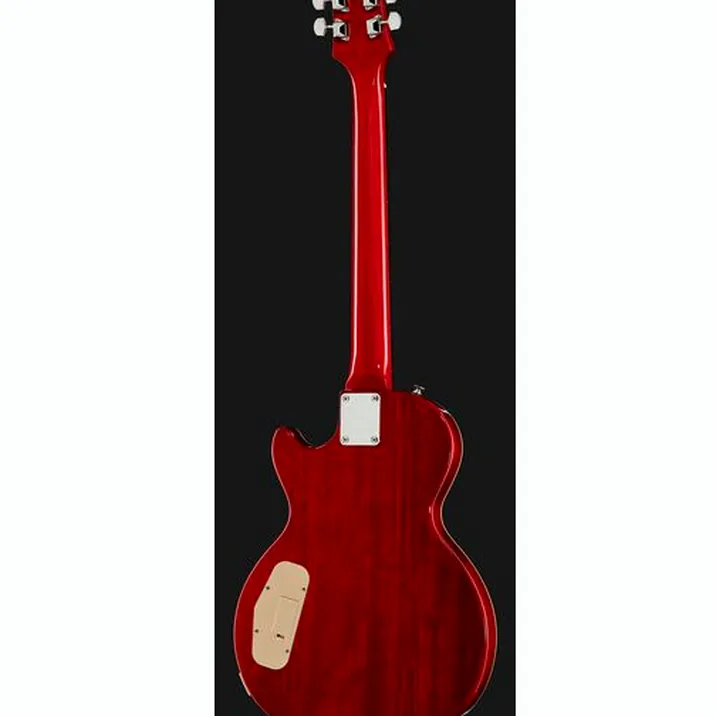 Epiphone Slash AFD LP Performance Pack