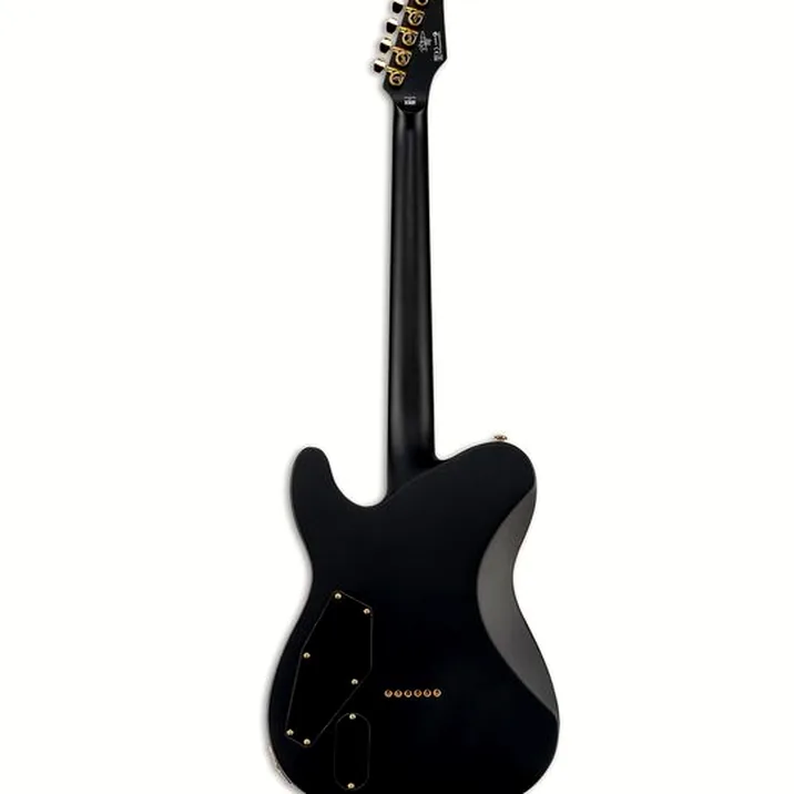 ESP LTD AA-1 BLKS Alan Ashby