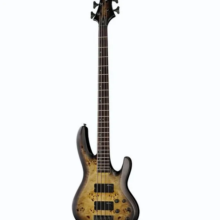 ESP LTD B-4E BP Charcoal Burst