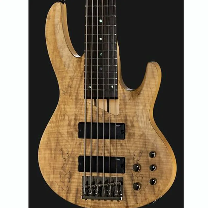 Esp Ltd B206