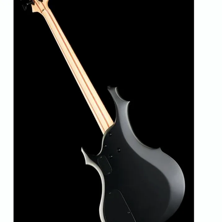 Esp Ltd F 204 Blks