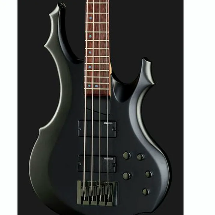 Esp Ltd F 204 Blks
