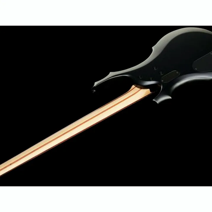 Esp Ltd F 204 Blks