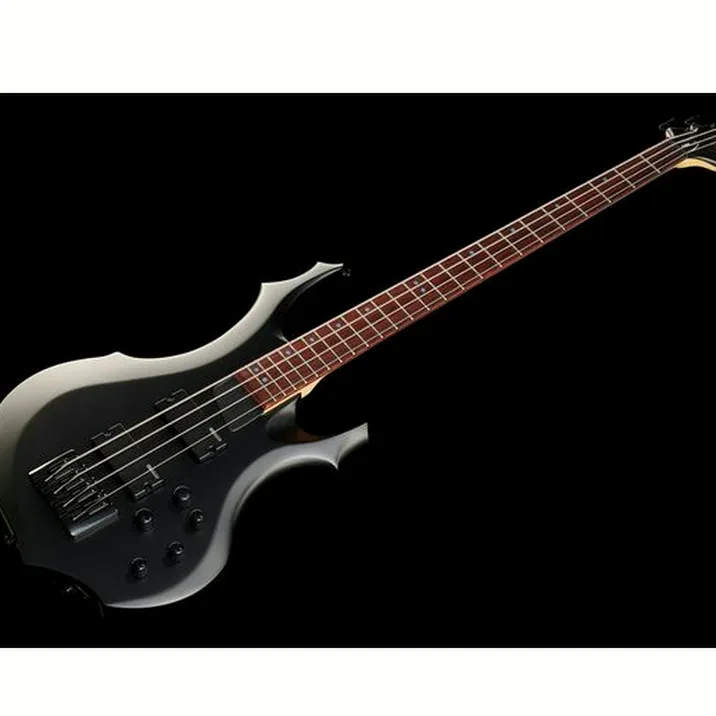 Esp Ltd F 204 Blks