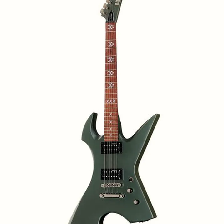 ESP LTD MAX-200 RPR MGR