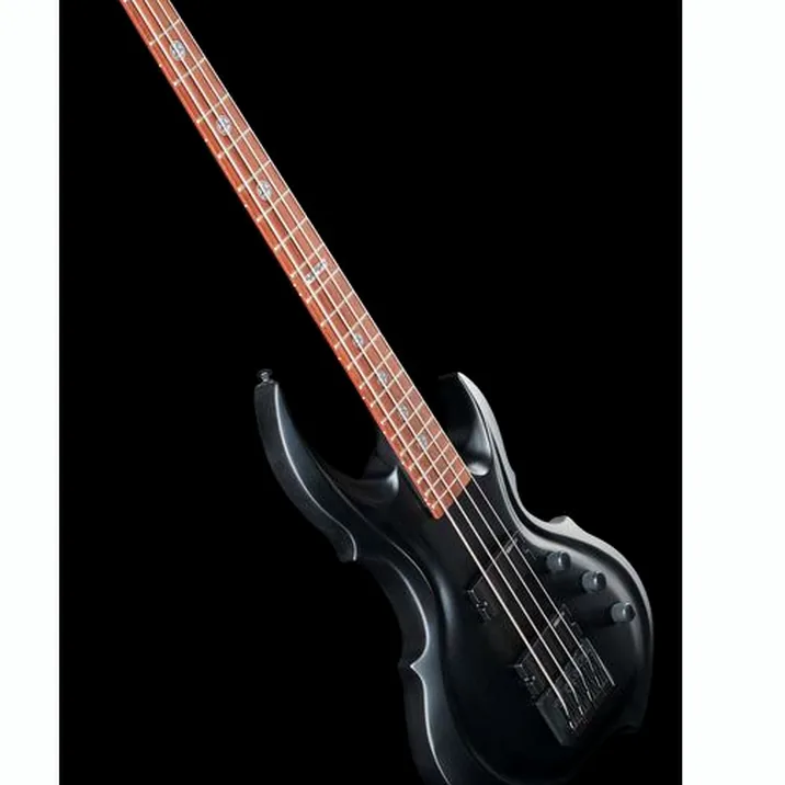 Esp Ltd Ta 204 Frx