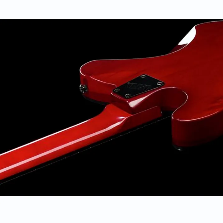 Esp Ltd Te 200 Maple Stbc