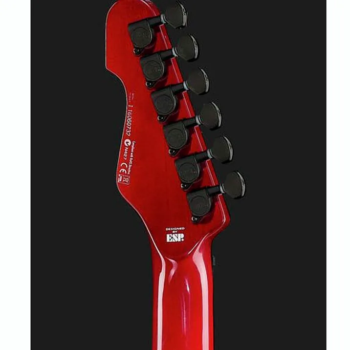 Esp Ltd Te 200 Maple Stbc