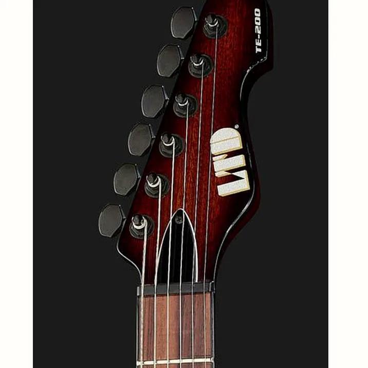 Esp Ltd Te 200 Rosewood Tsb