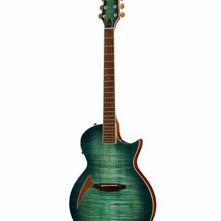 ESP LTD TL-6 Fm AQMB
