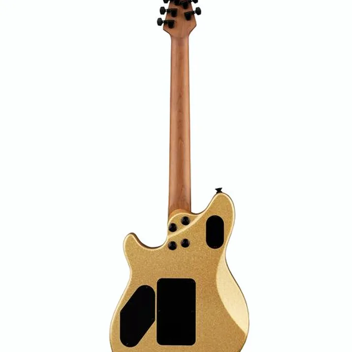 Evh Wolfgang WG Standard GSP