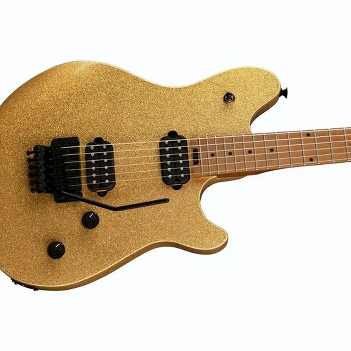 Evh Wolfgang WG Standard GSP