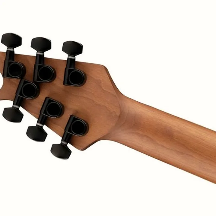 Evh Wolfgang Wg Standard Gsp