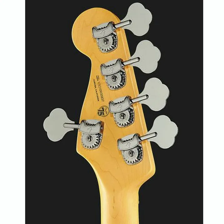 Fender Am Pro Ii P Bass V Mn Dk Nit